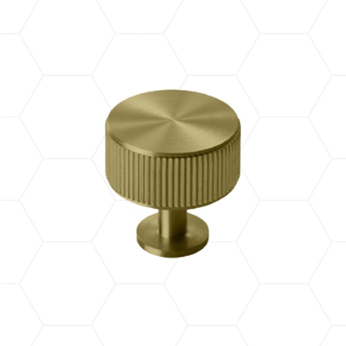 Regent Handle - Brushed Brass